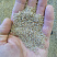 Кварцевый песок для площадок фр. 0,6-1,2 мм.  купить в Краснодаре фото Камень Клуб